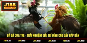 Đá Gà Cựa Tre - Trải Nghiệm Giải Trí Đỉnh Cao Đầy Hấp Dẫn
